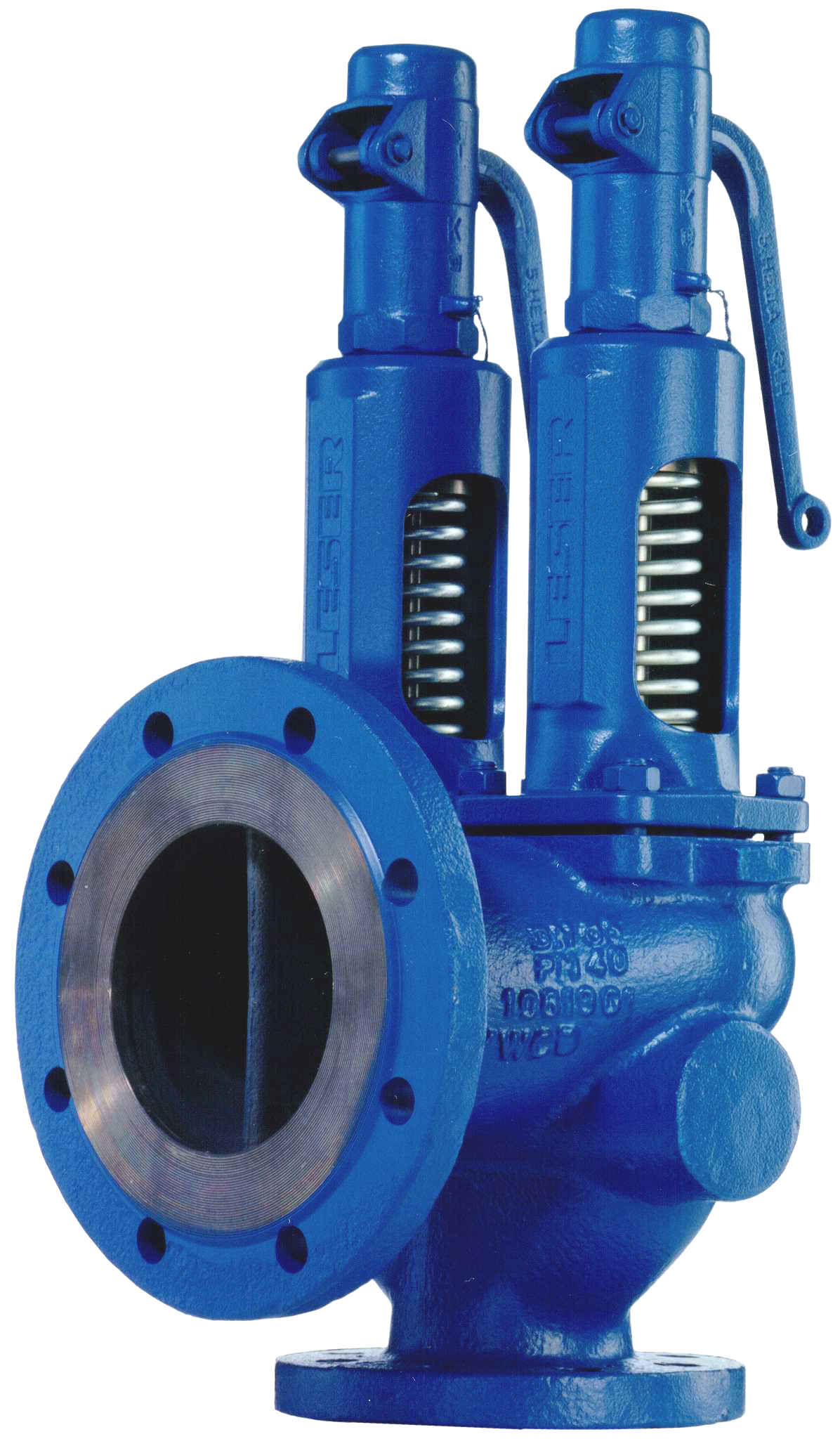 RELIEF VALVES - R&M TecnologÃ­a y Servicio al alcance de la industrÃ­a 